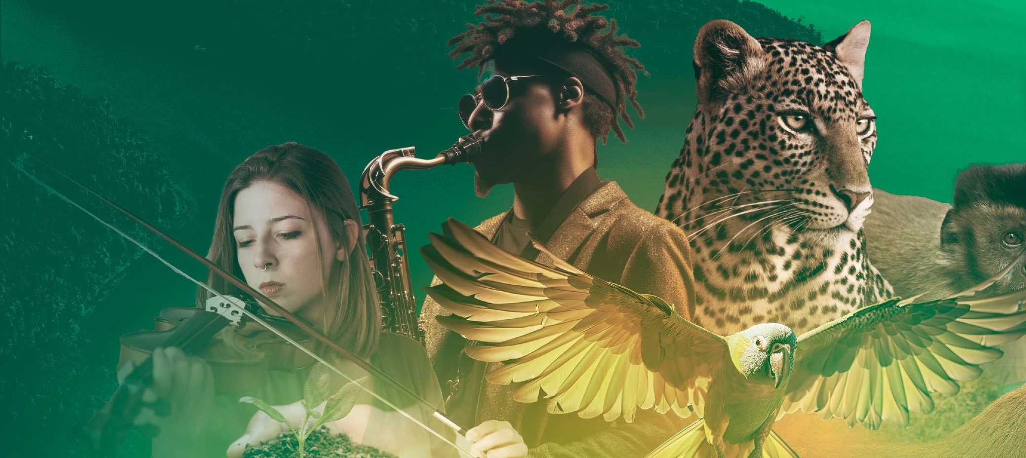 Violinista, saxofonista, arara, onça e macaco-prego sobre a mata do Rio Doce