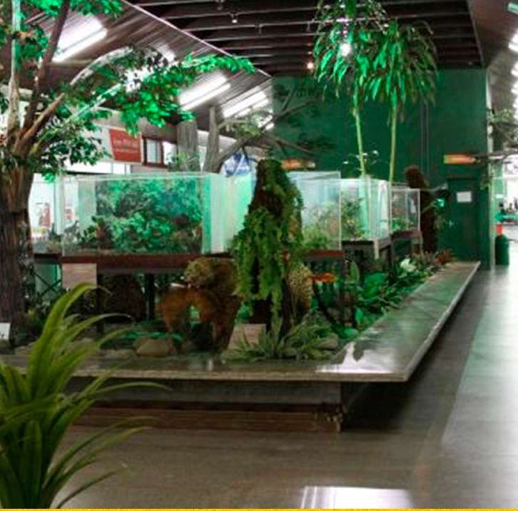 Espaço de exposição com vegetação