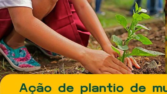 Criança plantando uma muda