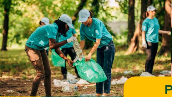 Voluntários recolhendo resíduos na mata